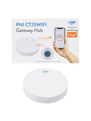 Hub Internet PNI CT25WIFI